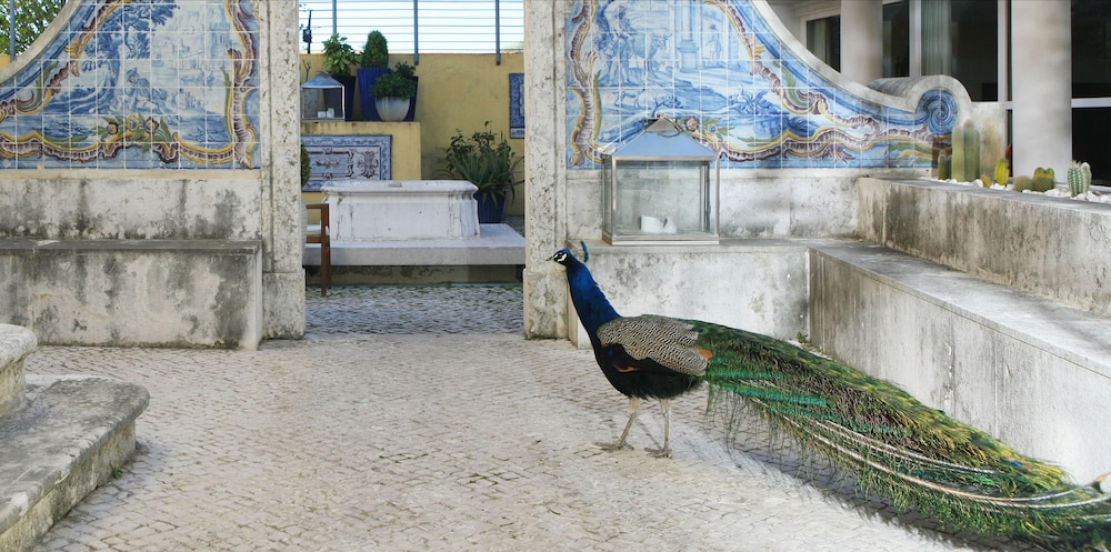 Solar Do Castelo, a Lisbon Heritage Collection - 1