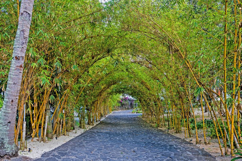 SEASENSE BOUTIQUE HOTEL & SPA - 1