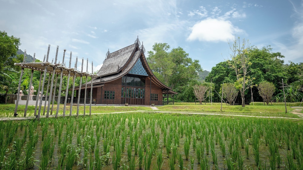 Hotel Indigo Phuket Patong by IHG - 1
