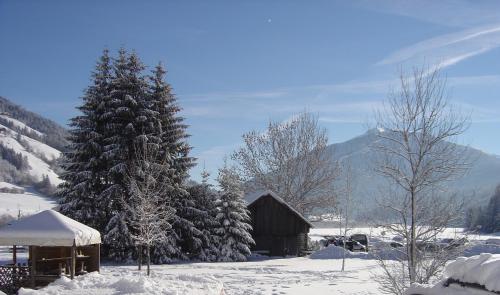 Hotel Brandl - 1
